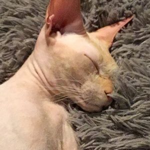 Meet your Posher, Stacey